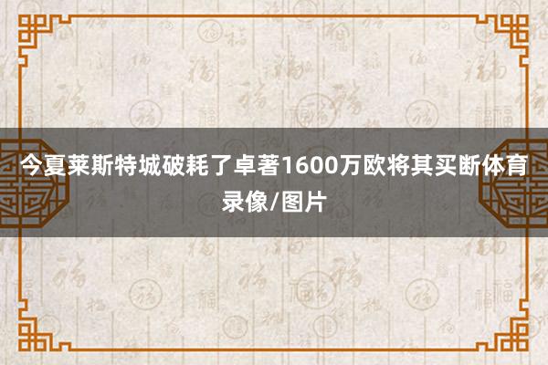 今夏莱斯特城破耗了卓著1600万欧将其买断体育录像/图片