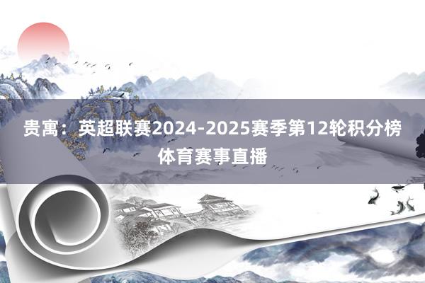 贵寓：英超联赛2024-2025赛季第12轮积分榜体育赛事直播