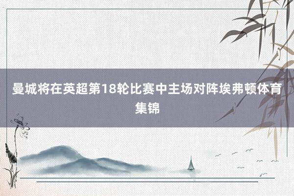 曼城将在英超第18轮比赛中主场对阵埃弗顿体育集锦