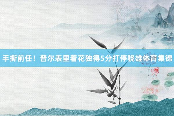 手撕前任！普尔表里着花独得5分打停骁雄体育集锦
