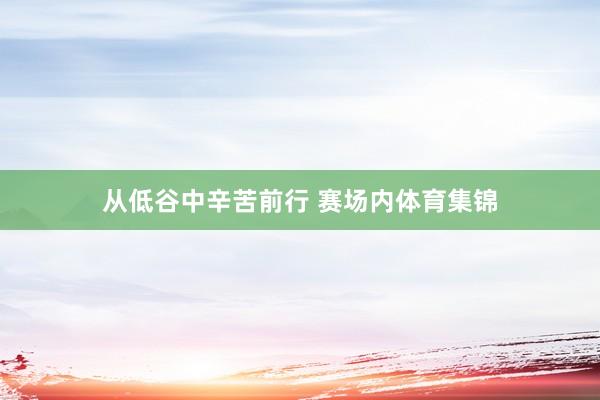 从低谷中辛苦前行 　　赛场内体育集锦