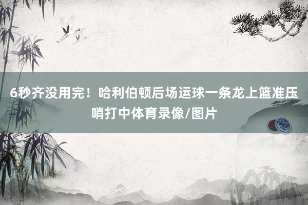 6秒齐没用完！哈利伯顿后场运球一条龙上篮准压哨打中体育录像/图片