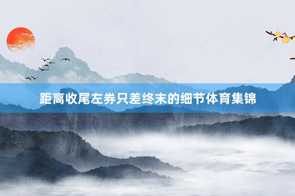 距离收尾左券只差终末的细节体育集锦