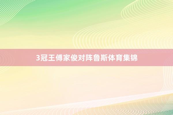 3冠王傅家俊对阵鲁斯体育集锦