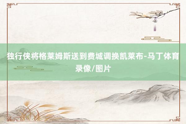 独行侠将格莱姆斯送到费城调换凯莱布-马丁体育录像/图片