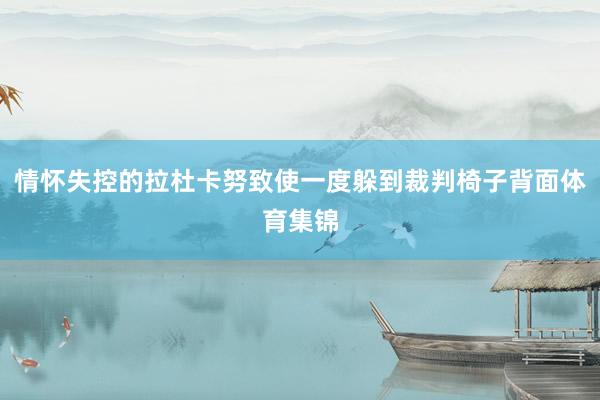 情怀失控的拉杜卡努致使一度躲到裁判椅子背面体育集锦