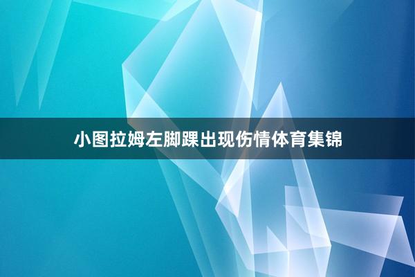 小图拉姆左脚踝出现伤情体育集锦