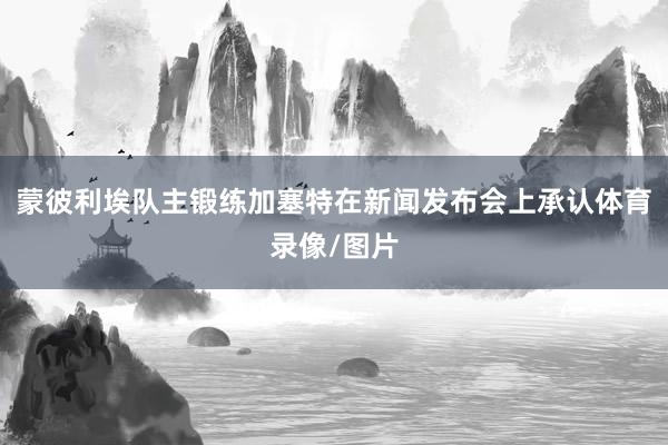 蒙彼利埃队主锻练加塞特在新闻发布会上承认体育录像/图片