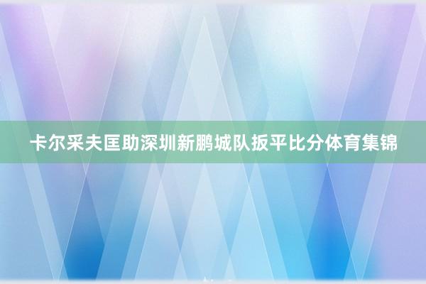 卡尔采夫匡助深圳新鹏城队扳平比分体育集锦