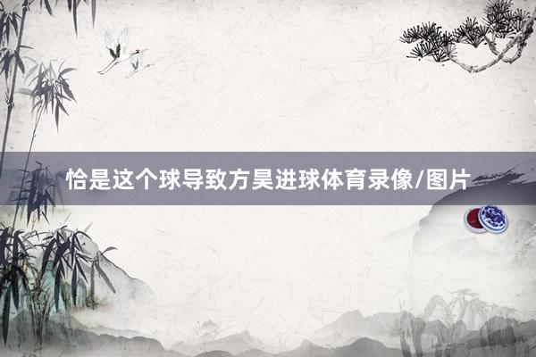 恰是这个球导致方昊进球体育录像/图片