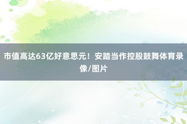 市值高达63亿好意思元!安踏当作控股鼓舞体育录像/图片
