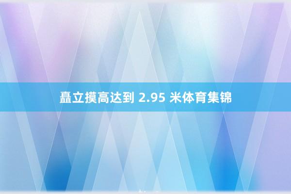 矗立摸高达到 2.95 米体育集锦