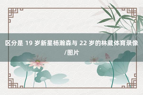 区分是 19 岁新星杨瀚森与 22 岁的林葳体育录像/图片