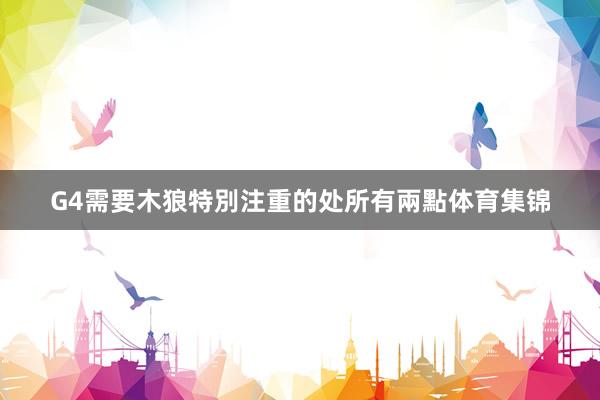 G4需要木狼特別注重的处所有兩點体育集锦