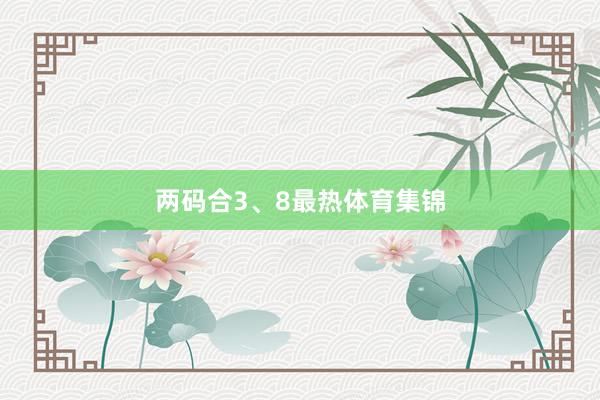 两码合3、8最热体育集锦