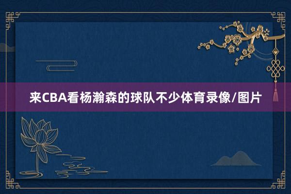 来CBA看杨瀚森的球队不少体育录像/图片