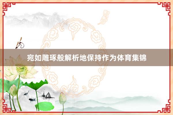 宛如雕琢般解析地保持作为体育集锦