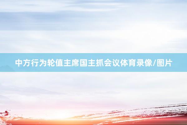 中方行为轮值主席国主抓会议体育录像/图片