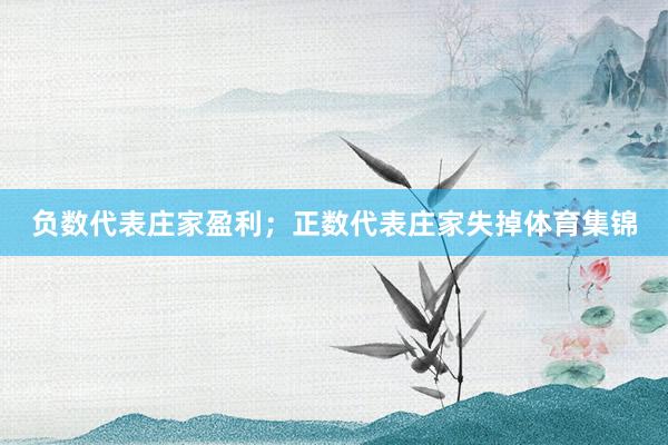 负数代表庄家盈利；正数代表庄家失掉体育集锦