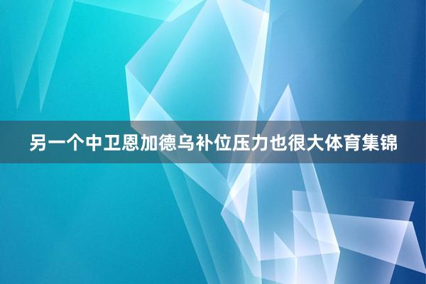 另一个中卫恩加德乌补位压力也很大体育集锦