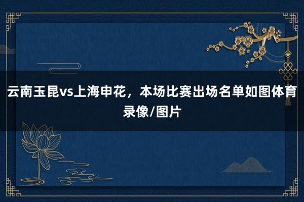 云南玉昆vs上海申花，本场比赛出场名单如图体育录像/图片