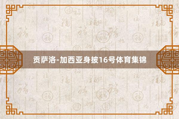 贡萨洛-加西亚身披16号体育集锦