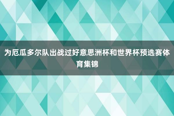 为厄瓜多尔队出战过好意思洲杯和世界杯预选赛体育集锦