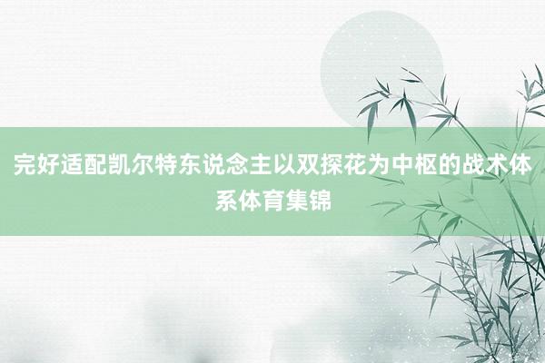 完好适配凯尔特东说念主以双探花为中枢的战术体系体育集锦