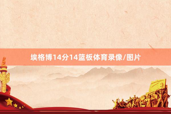 埃格博14分14篮板体育录像/图片