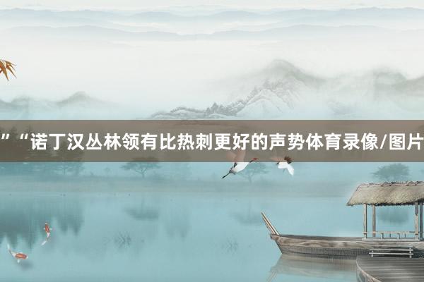 ”“诺丁汉丛林领有比热刺更好的声势体育录像/图片