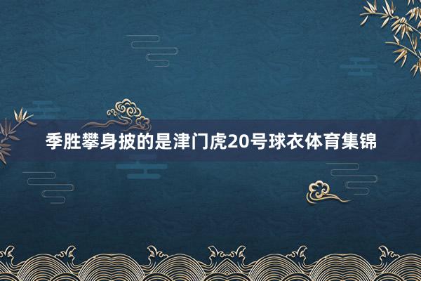 季胜攀身披的是津门虎20号球衣体育集锦