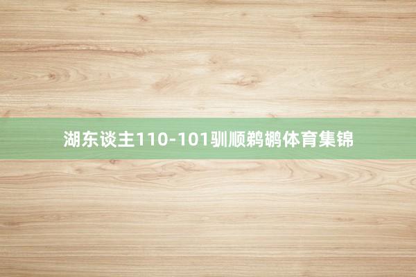 湖东谈主110-101驯顺鹈鹕体育集锦