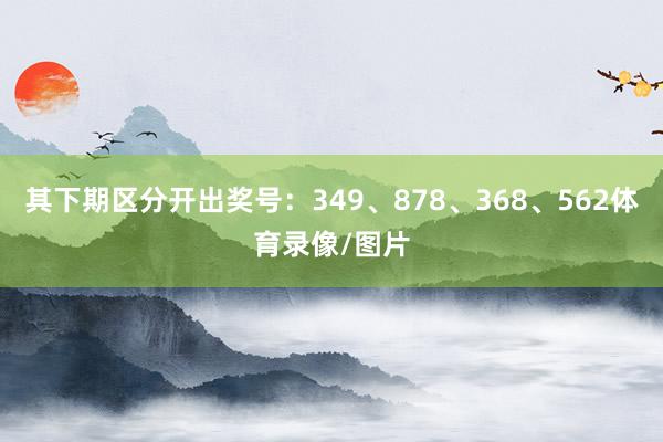 其下期区分开出奖号：349、878、368、562体育录像/图片