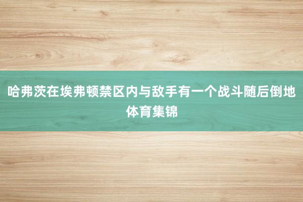 哈弗茨在埃弗顿禁区内与敌手有一个战斗随后倒地体育集锦