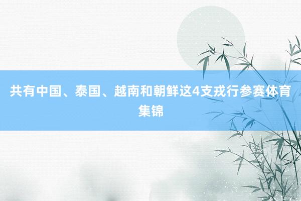 共有中国、泰国、越南和朝鲜这4支戎行参赛体育集锦
