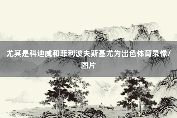 尤其是科迪威和菲利波夫斯基尤为出色体育录像/图片