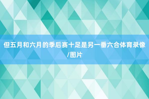 但五月和六月的季后赛十足是另一番六合体育录像/图片