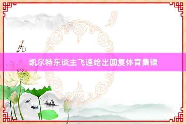 凯尔特东谈主飞速给出回复体育集锦
