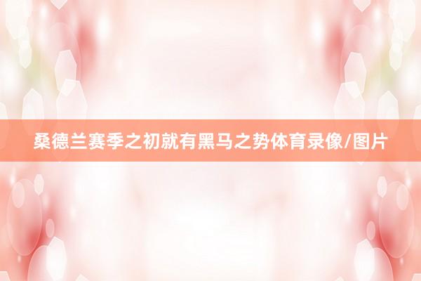 桑德兰赛季之初就有黑马之势体育录像/图片