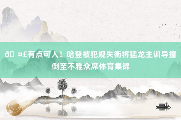 🤣有点可人！哈登被犯规失衡将猛龙主训导撞倒至不雅众席体育集锦