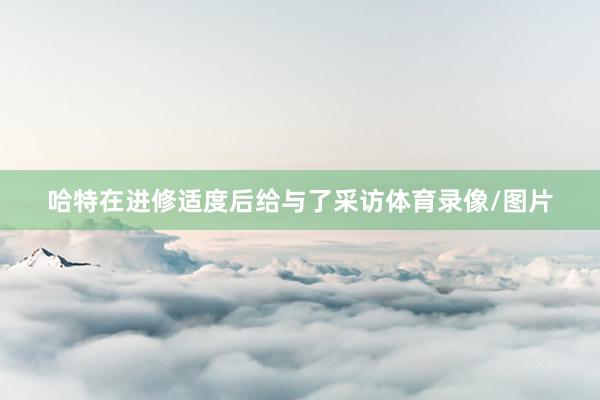 哈特在进修适度后给与了采访体育录像/图片