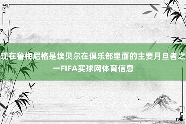 现在鲁梅尼格是埃贝尔在俱乐部里面的主要月旦者之一FIFA买球网体育信息