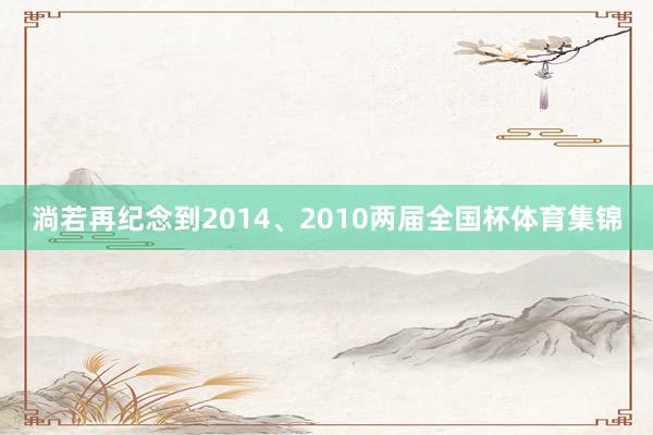 淌若再纪念到2014、2010两届全国杯体育集锦